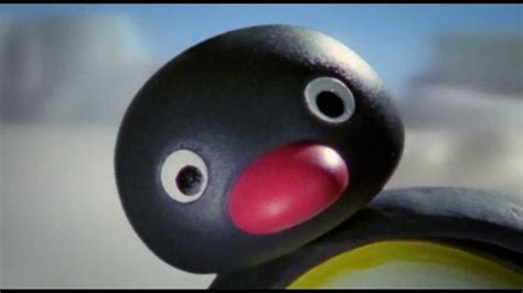 pingu youtube|pingu youtube channel.